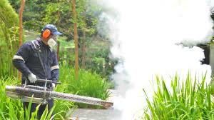 Best Mosquito Control  in Bay Pines, FL